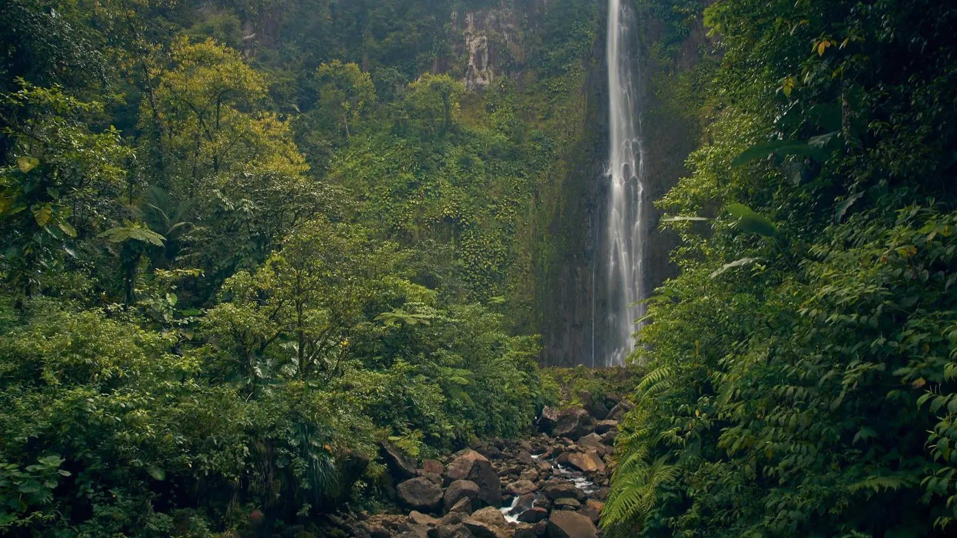 La Source Bis, Mer Et Source D'Eau Chaude Bouillante 0*,  Guadalupa