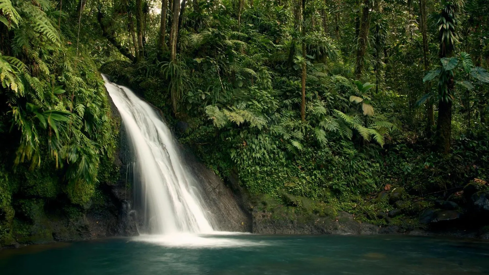 La Source Bis, Mer Et Source D'Eau Chaude Bouillante Appartamento
