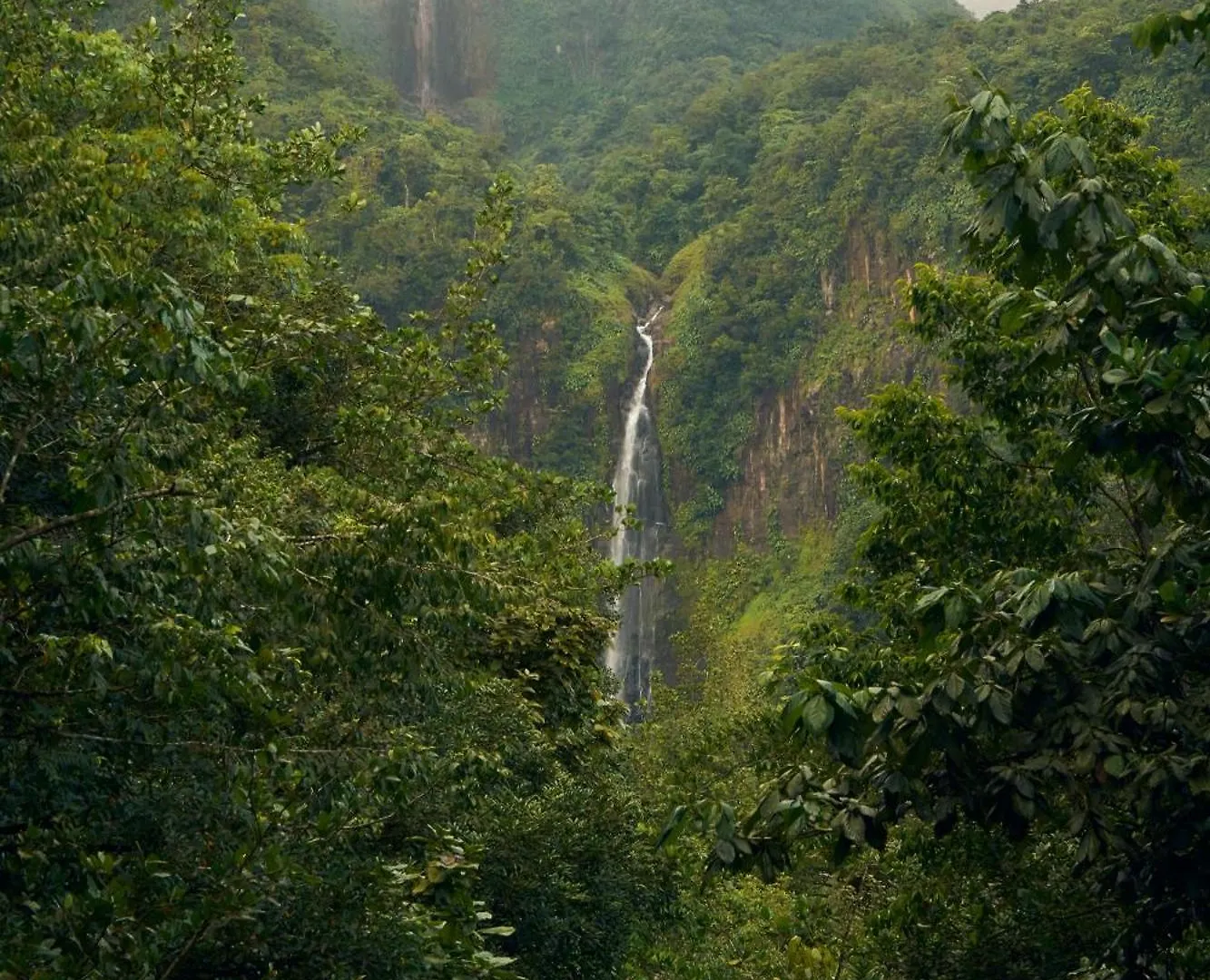 Lejlighed La Source Bis, Mer Et Source D'Eau Chaude Bouillante Guadeloupe
